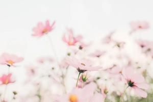 未来活动｜诗意隽永,翰墨飘香